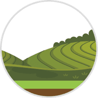 Assam
