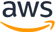 technology partner